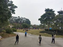 -火炉山森林公园