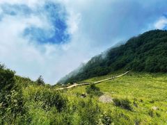 -白草畔自然风景区