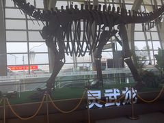 -银川河东国际机场