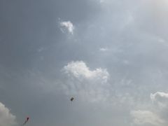 -东台西溪天仙缘景区