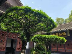 -宝光寺