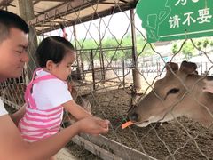 -北京鹿世界主题园