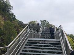 -福道