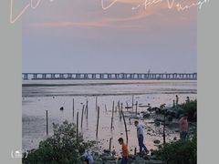 -宝安西湾红树林湿地公园