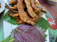 -遇见小院—虹鳟鱼•农家菜(怀柔店)