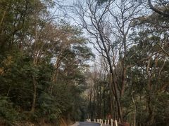 -岳麓山风景名胜区