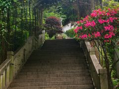 -乌山风景区