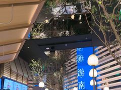 -桂满陇·海市蜃楼·黑金(国金店)