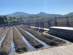 -古田会议纪念馆