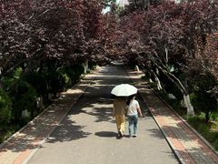 -山东师范大学(千佛山校区)