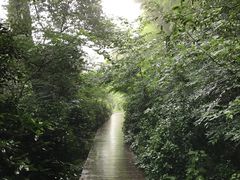 -上海佘山国家森林公园西佘山园