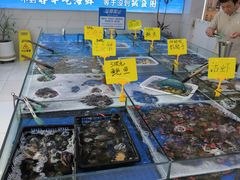 -春华海鲜城(广场西苑店)