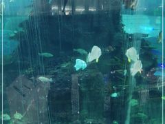 -鸿通城购物中心