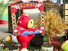 -荷兰花海