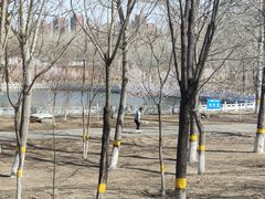 -东升八家郊野公园