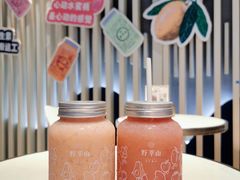 -野萃山·潮汕厚果汁(十亩地店)