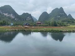 -靖西鹅泉风景区