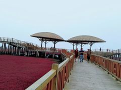 -红海滩国家风景廊道