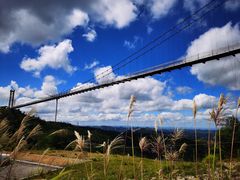-龙里油画大草原旅游区