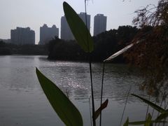 -东湖公园
