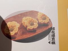 -吴越荣记苏州菜·松鼠桂鱼100%活鱼现做(斜塘老街店)