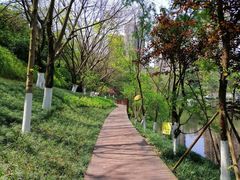 -重庆彩云湖湿地公园