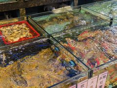 -新金盛·海鲜酒楼(盐田店)