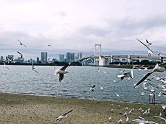 -台场海滨公园船码头