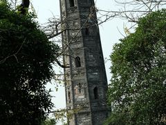 -上海佘山国家森林公园天马山园