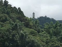 -日月潭