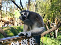 -北京野生动物园