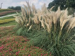 -南通洲际绿博园