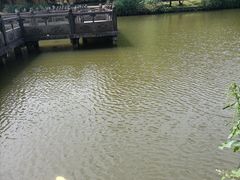 -龙游石窟