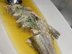 -金枝玉叶上海人家食府(三里河店)