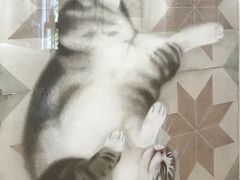 -陈树人纪念馆