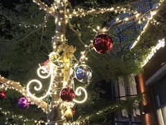 -满记甜品(富华里店)