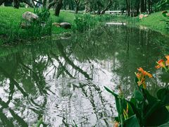 -人民公园(罗湖区)