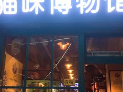 -猫咪博物馆(顶澳仔猫街店)