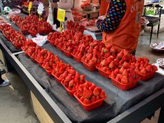 -秀丽东方