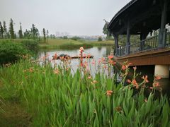 -眉山湿地公园(东坡区)