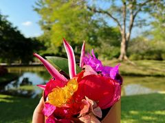 -中国科学院西双版纳热带植物园
