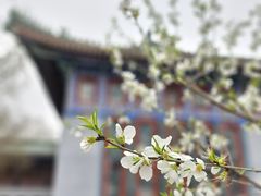 -国家图书馆·古籍馆