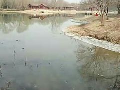-东郊湿地公园