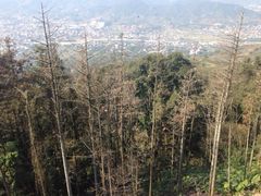 -安溪清水岩