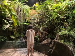 -漫·汤泉