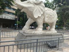 -白象居