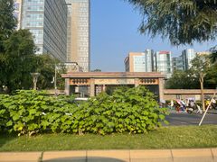 -四川大学博物馆
