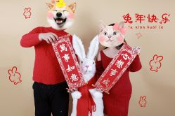 -孕视觉专业孕妇摄影(天津南开店)