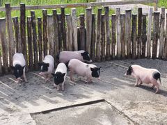 -水上乐园·欢乐世界