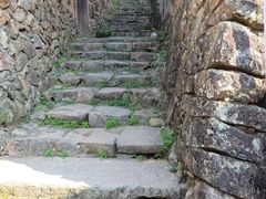 -杨家堂村